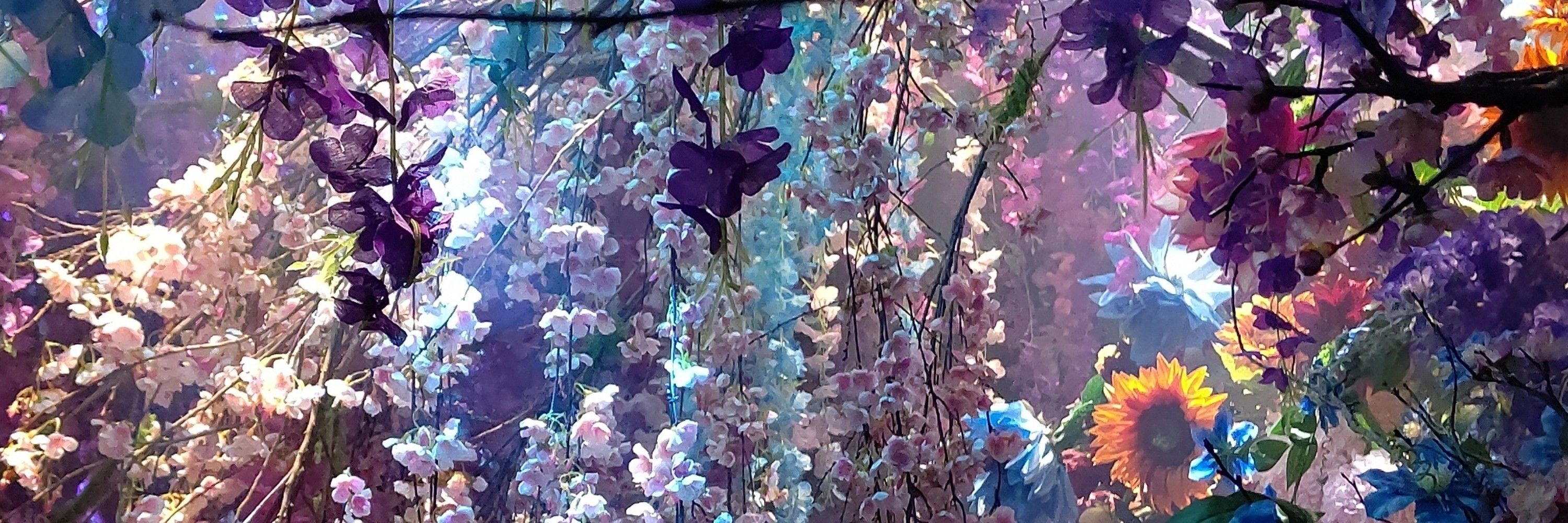 スズツキ