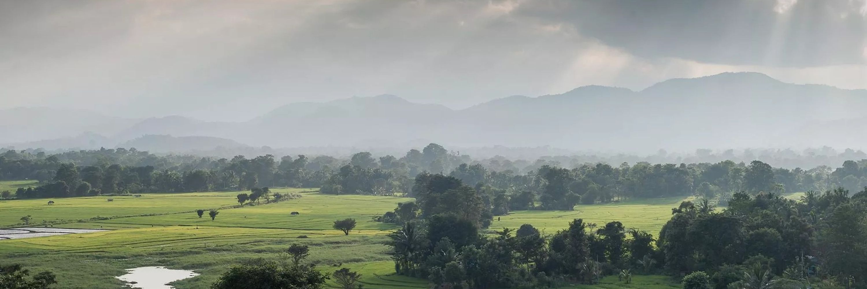 Tharaka Nandasena