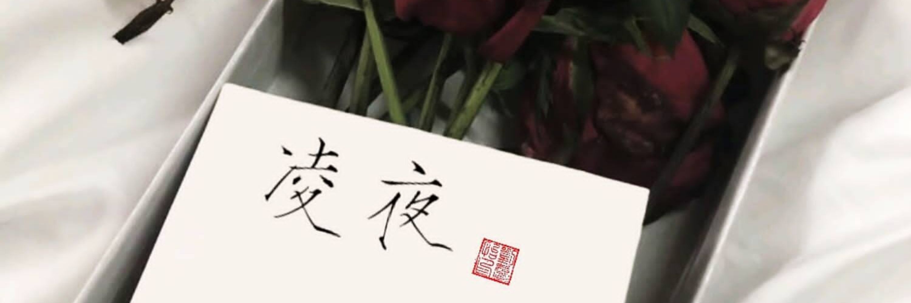 凌夜