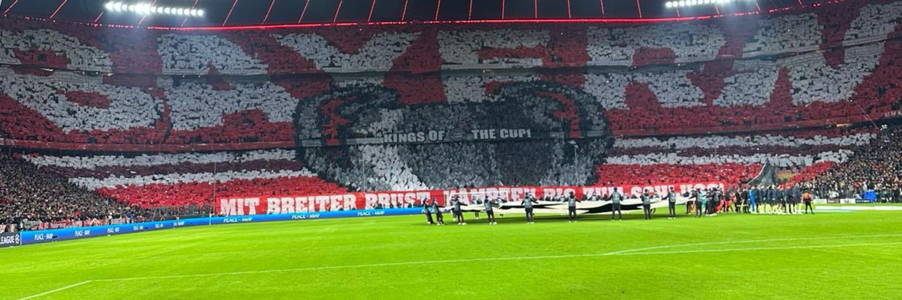 Luca🔴⚪️
