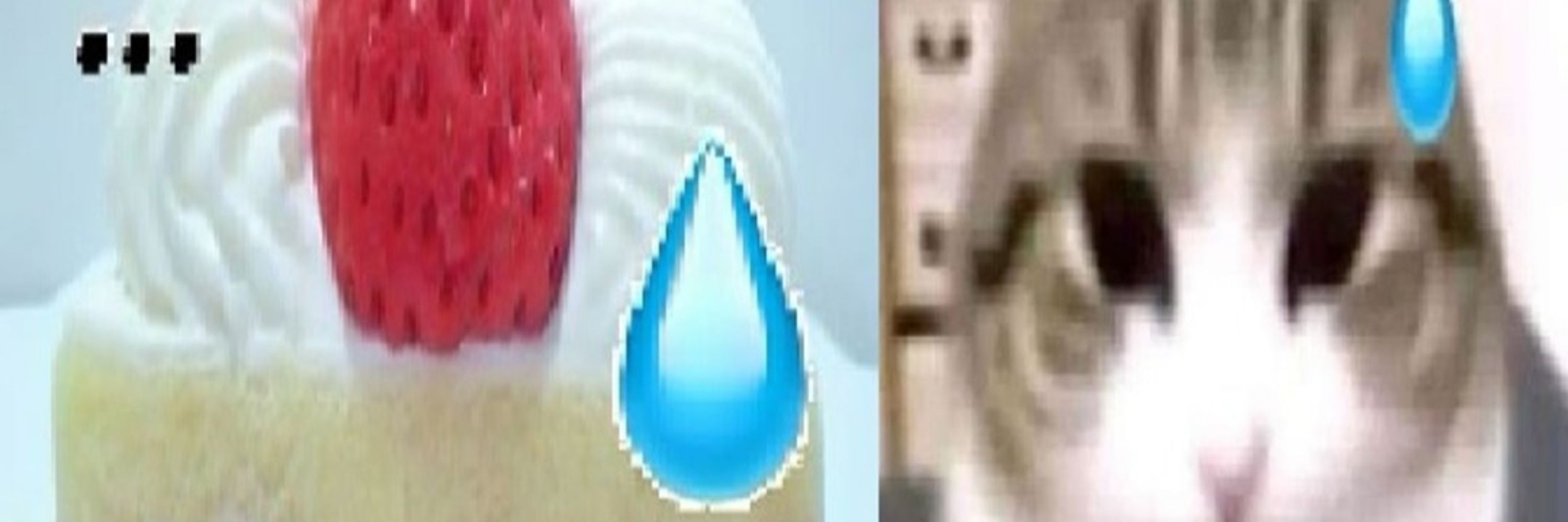 Potato