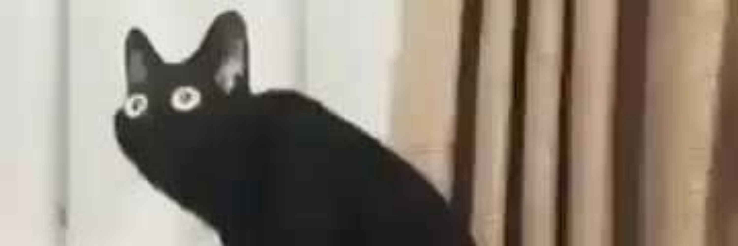 🔞AvisTheSimp🔞