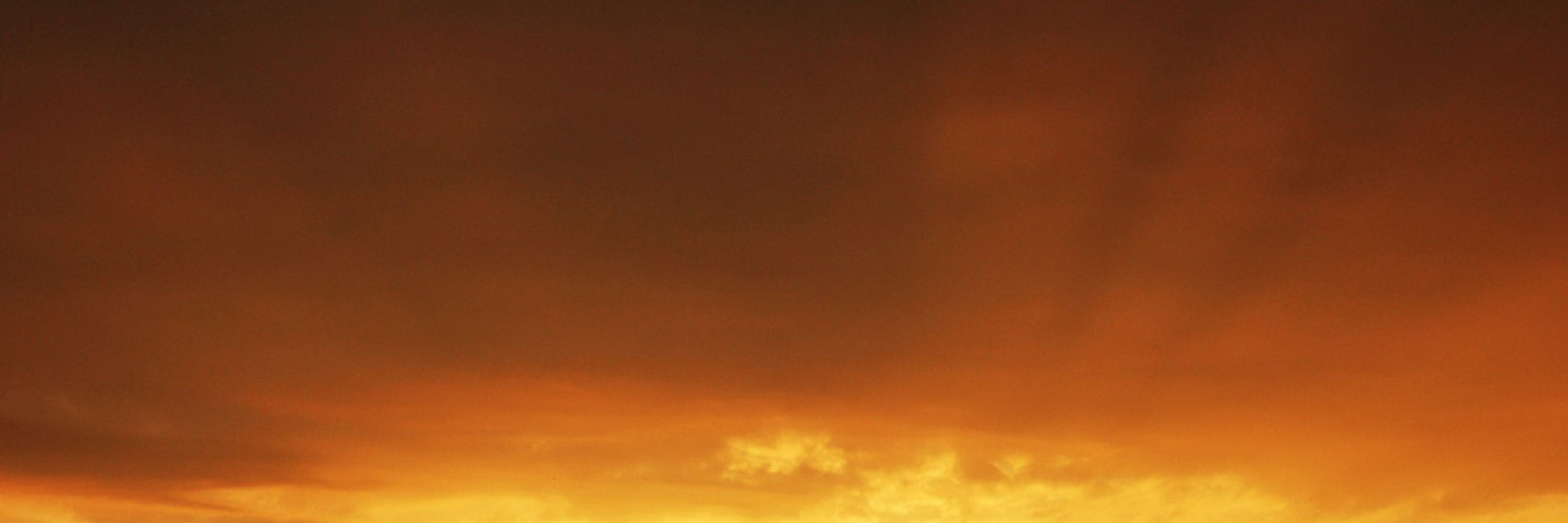 Bluesky Gold