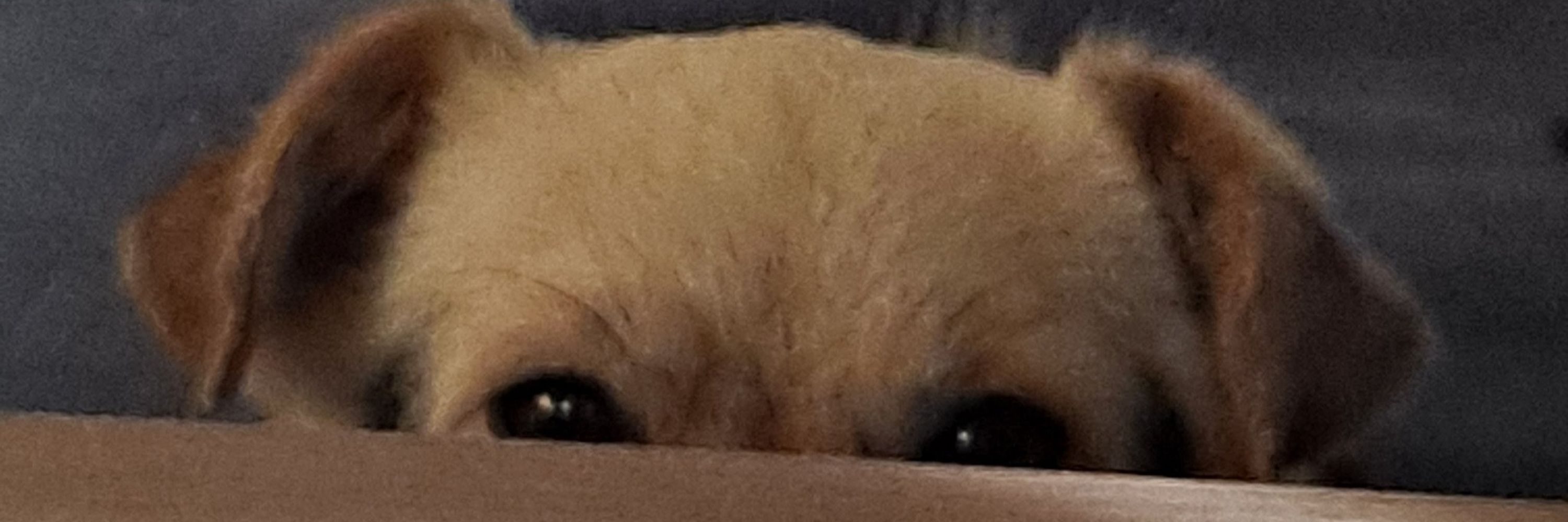 무대