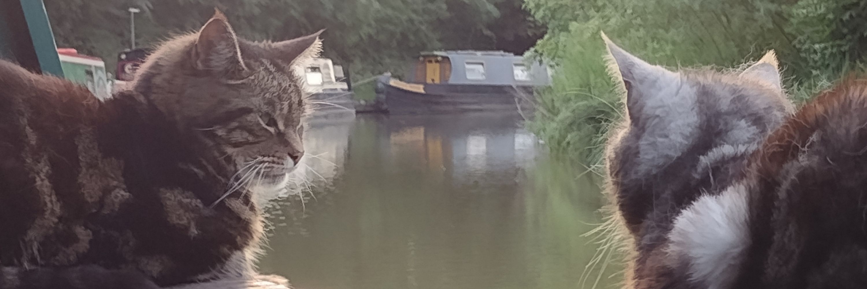 Phil - "Narrowboat Journeys" - Kryfold Sky