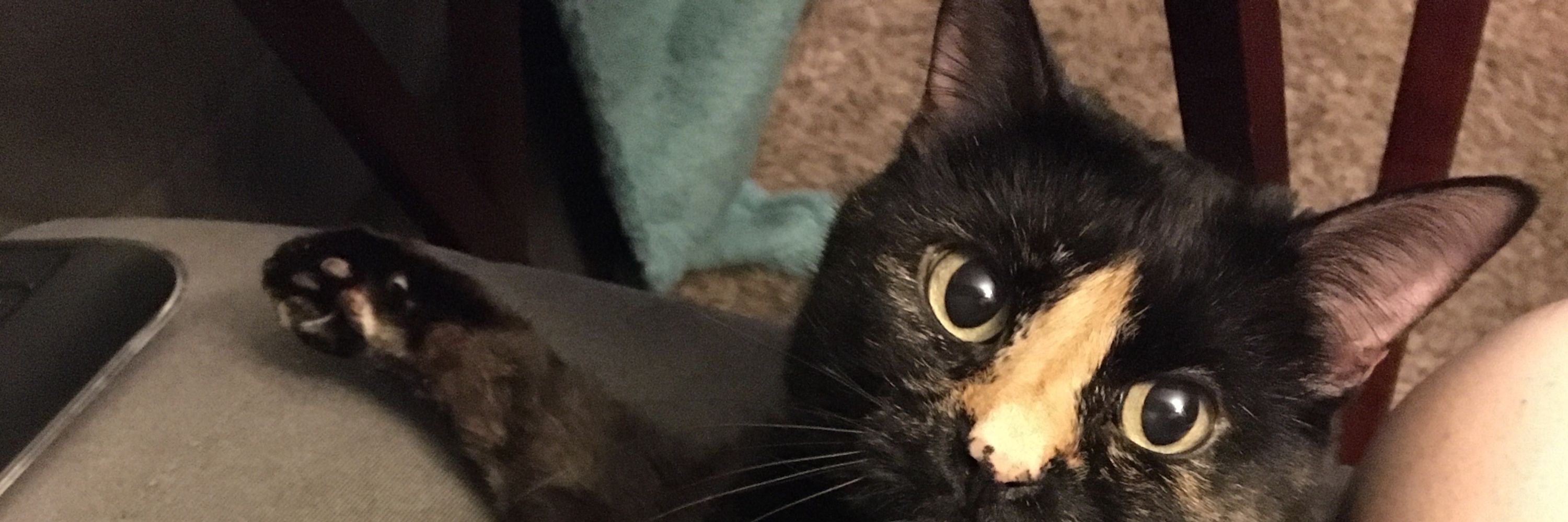Sam