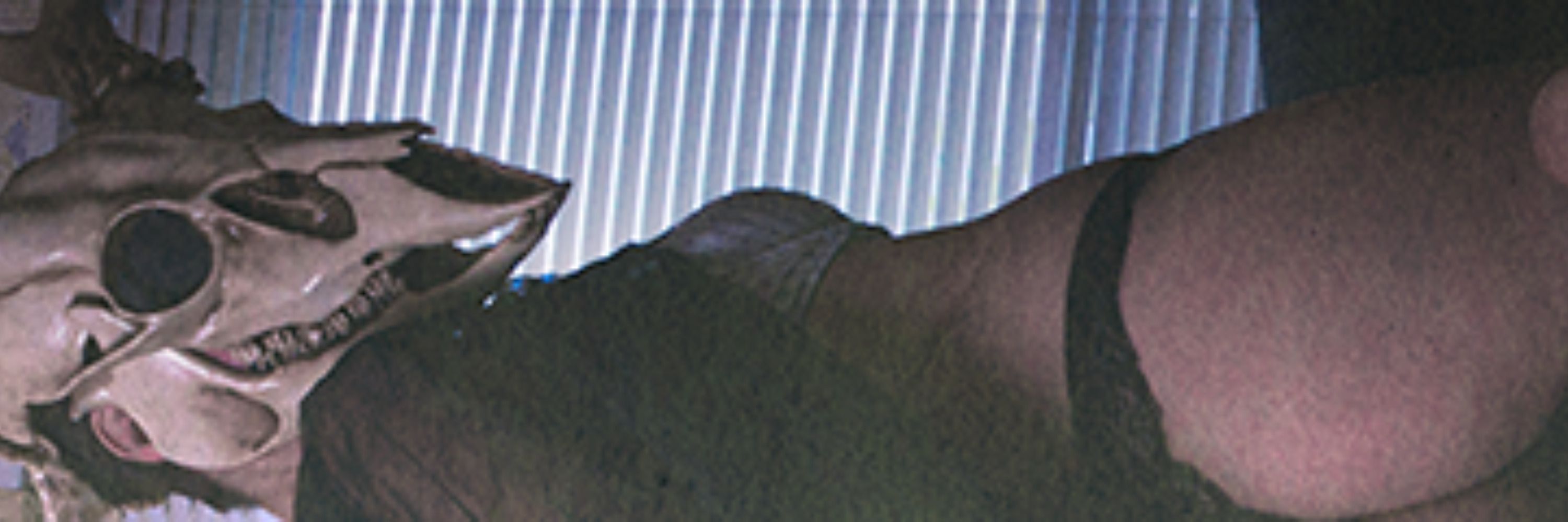 Profile banner