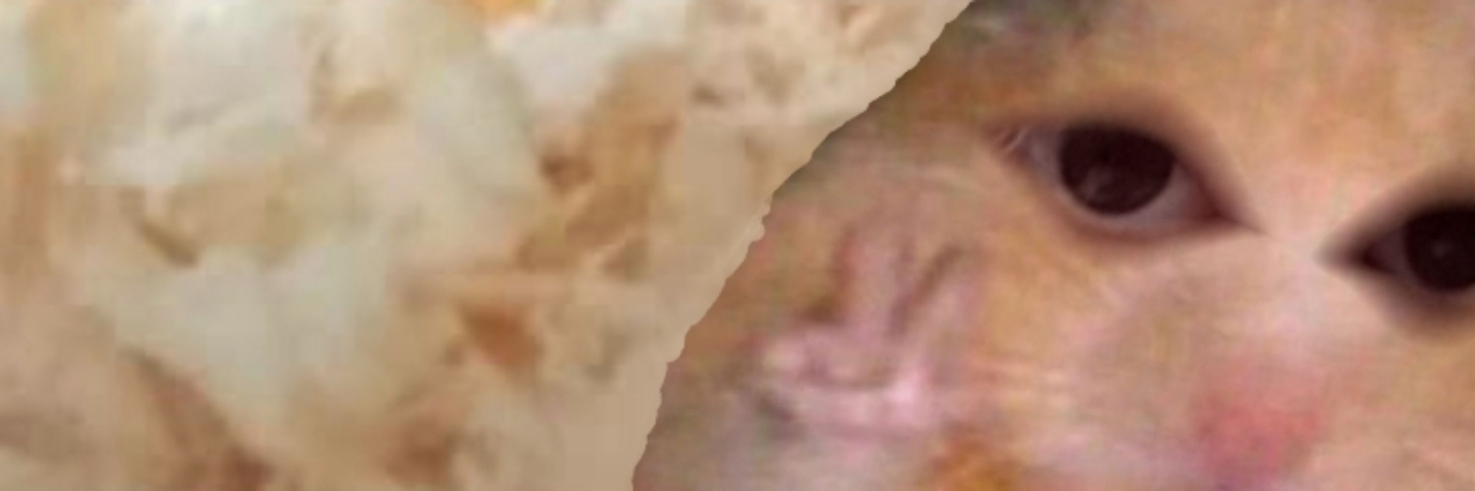 ✅