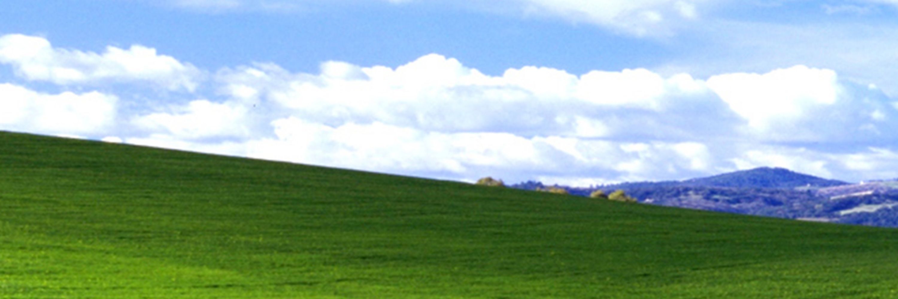 Viera