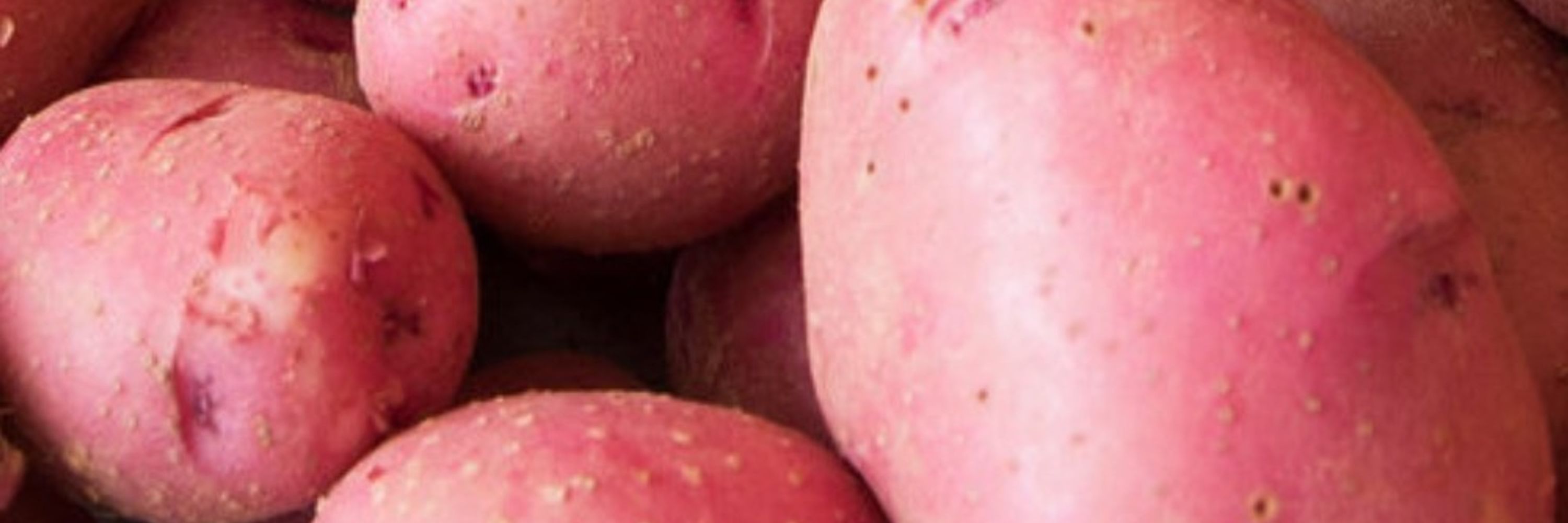 Anonymous Potato
