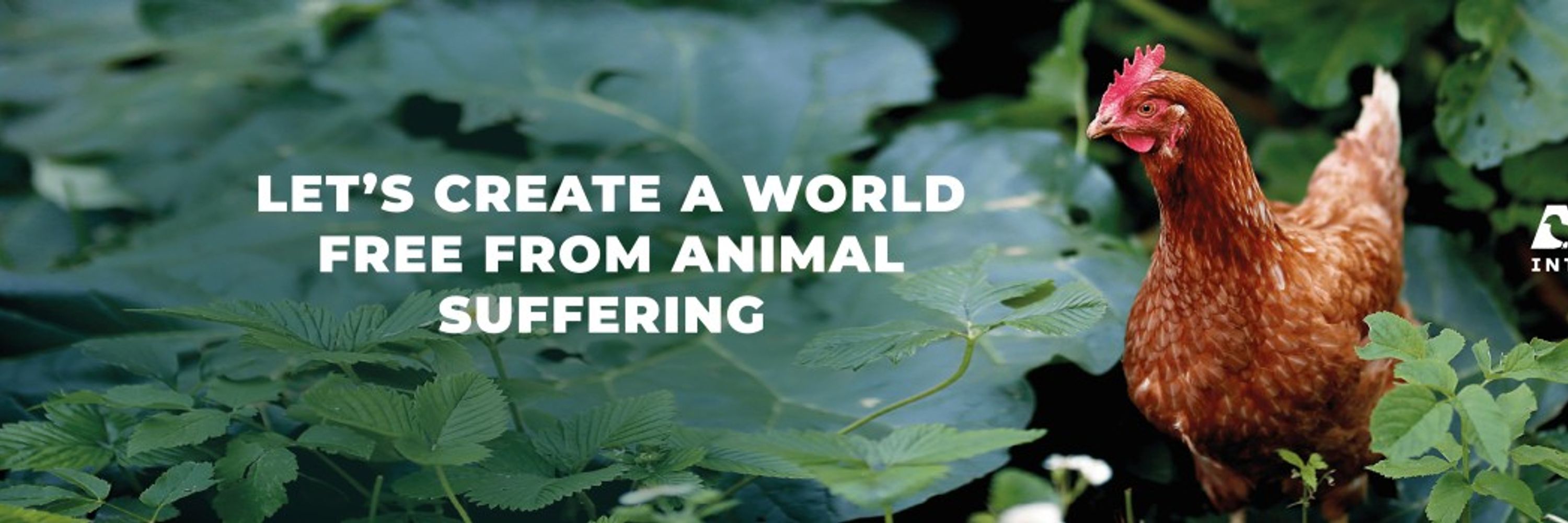 Anima International