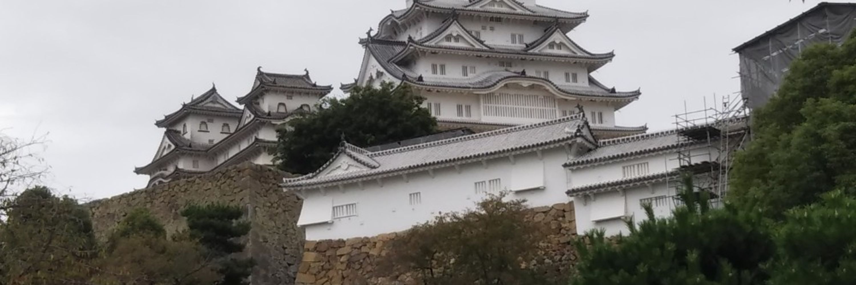 いろす