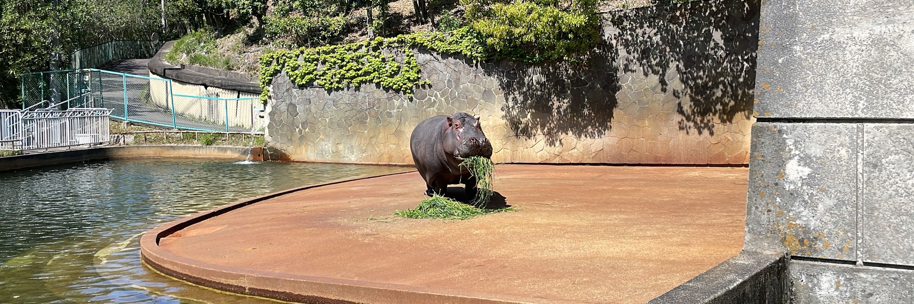 のなめ