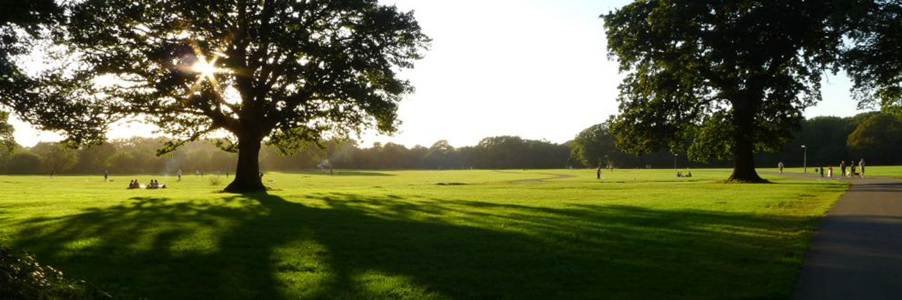 Open Spaces Society