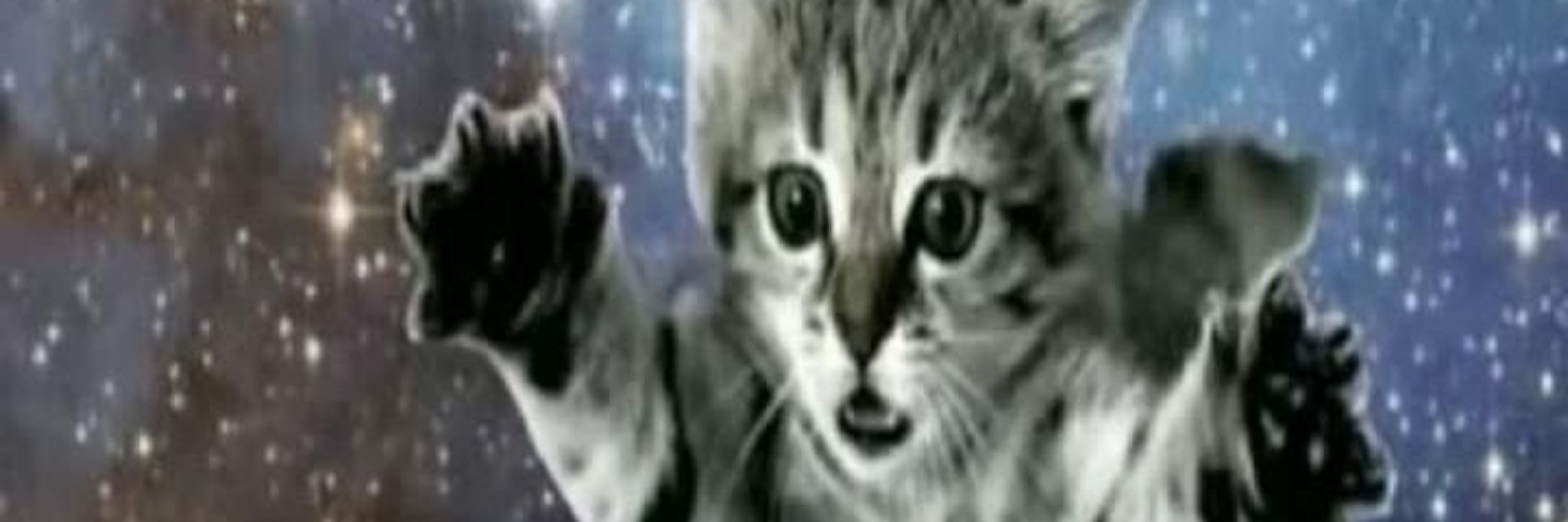 𝑳𝒖𝒄𝒚 ✯✡