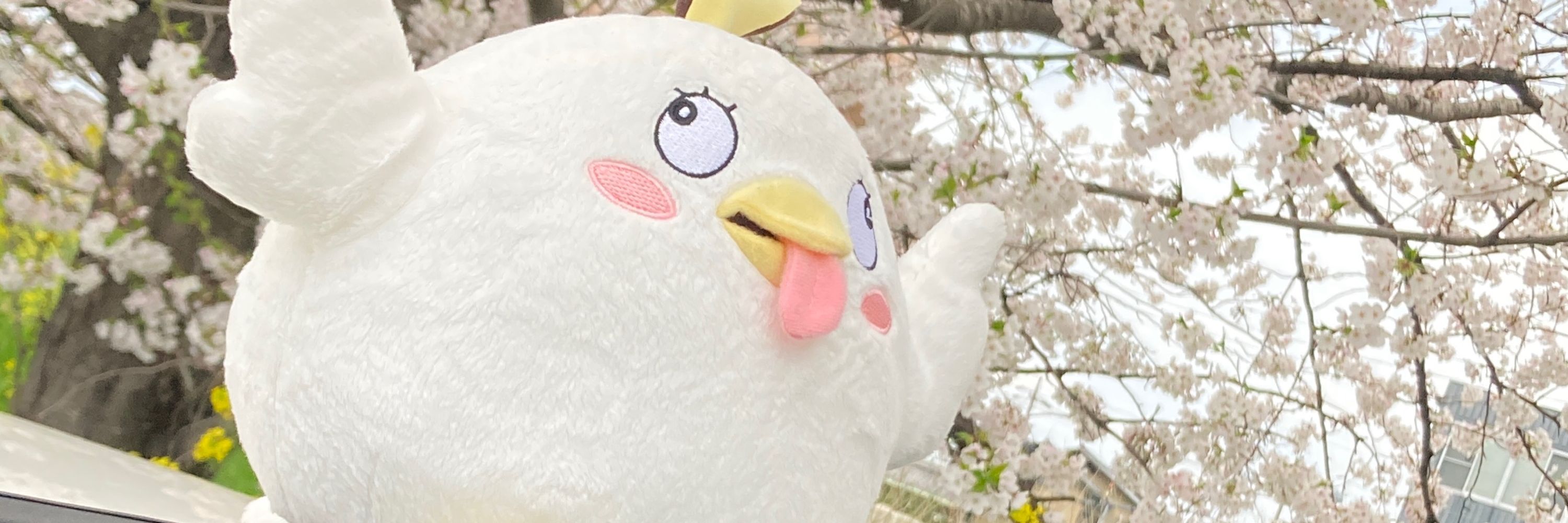 ニ木ﾆｷ