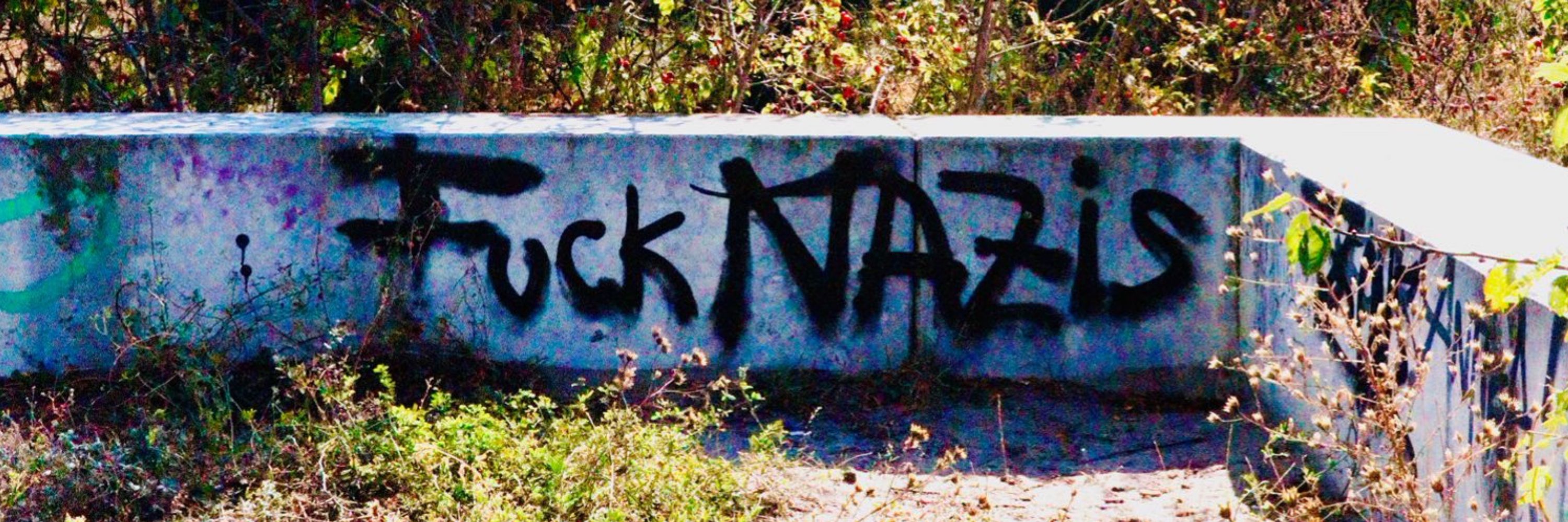 Berliner Drecksau