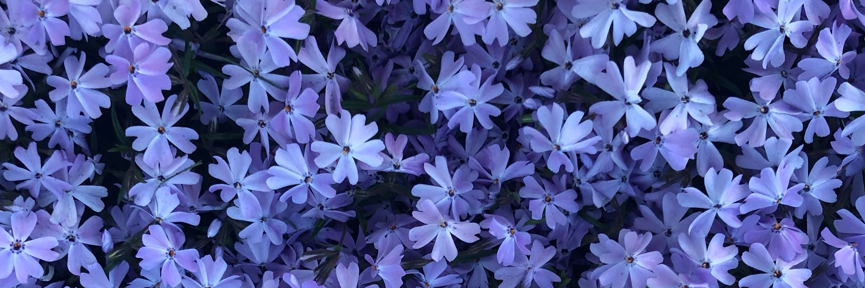 Mehbles