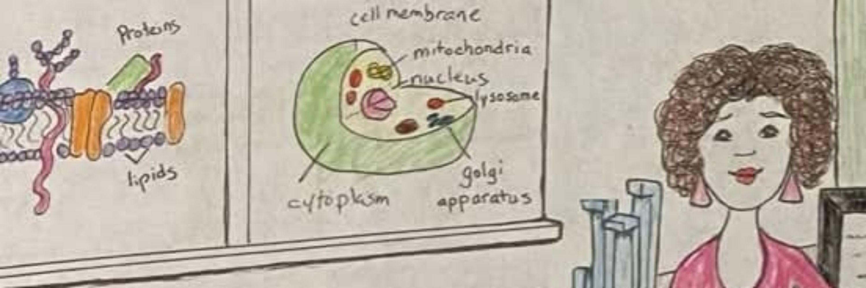 Super Cool Scientists 😎