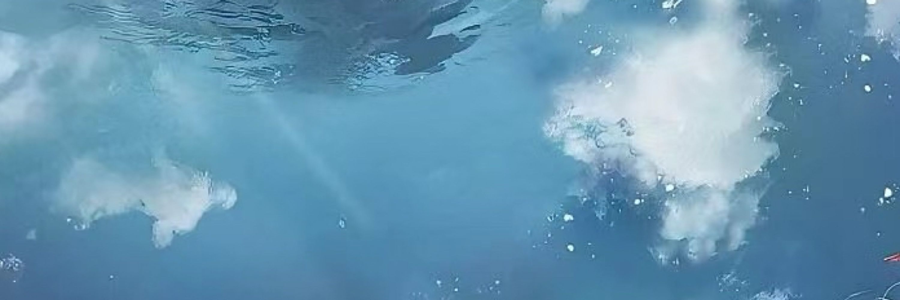 卡咪咪咪 ˶ˊᜊˋ˶
