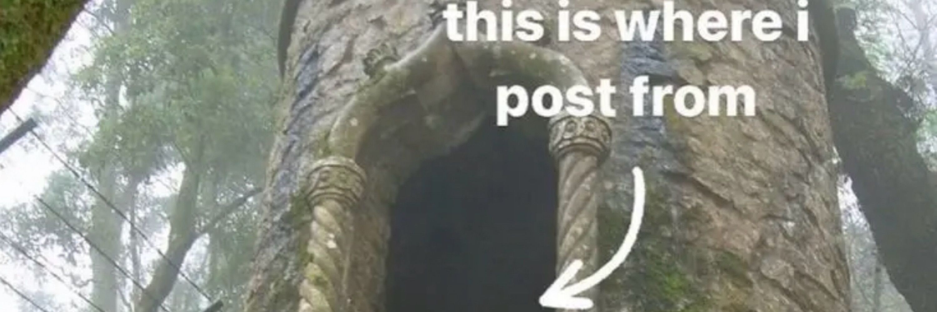 s@m 𓆑