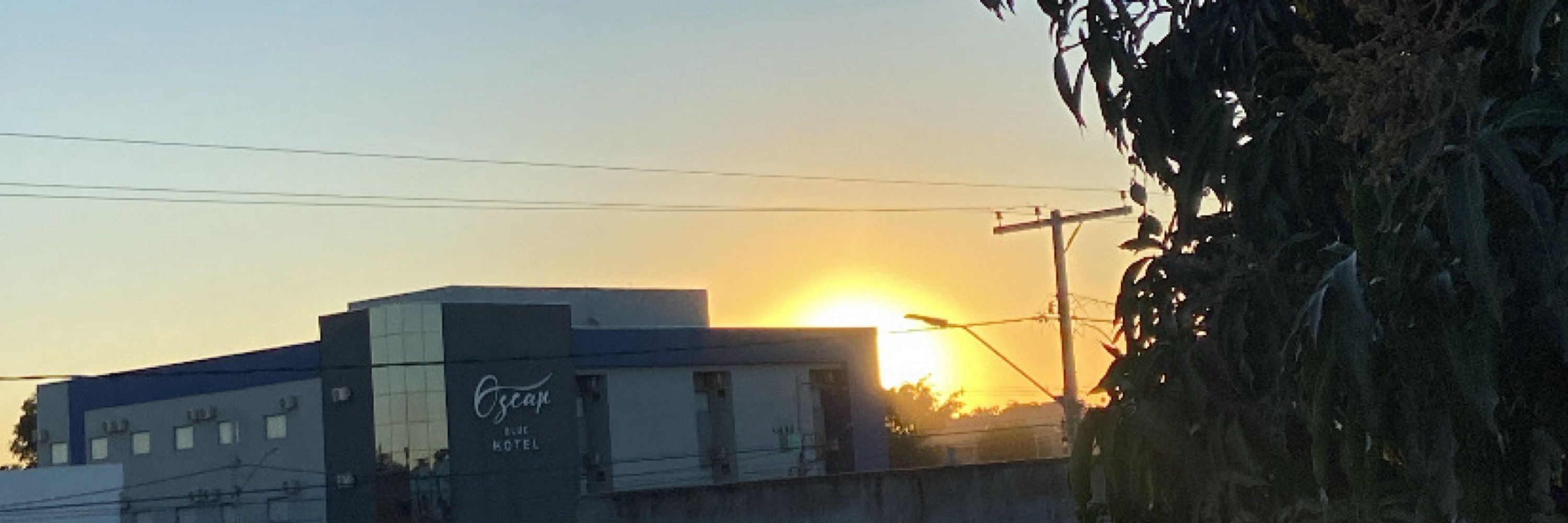 jardim ☀️
