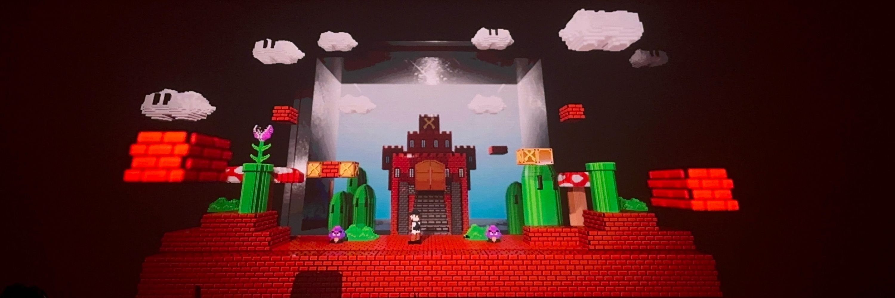 Bro, its Mario!