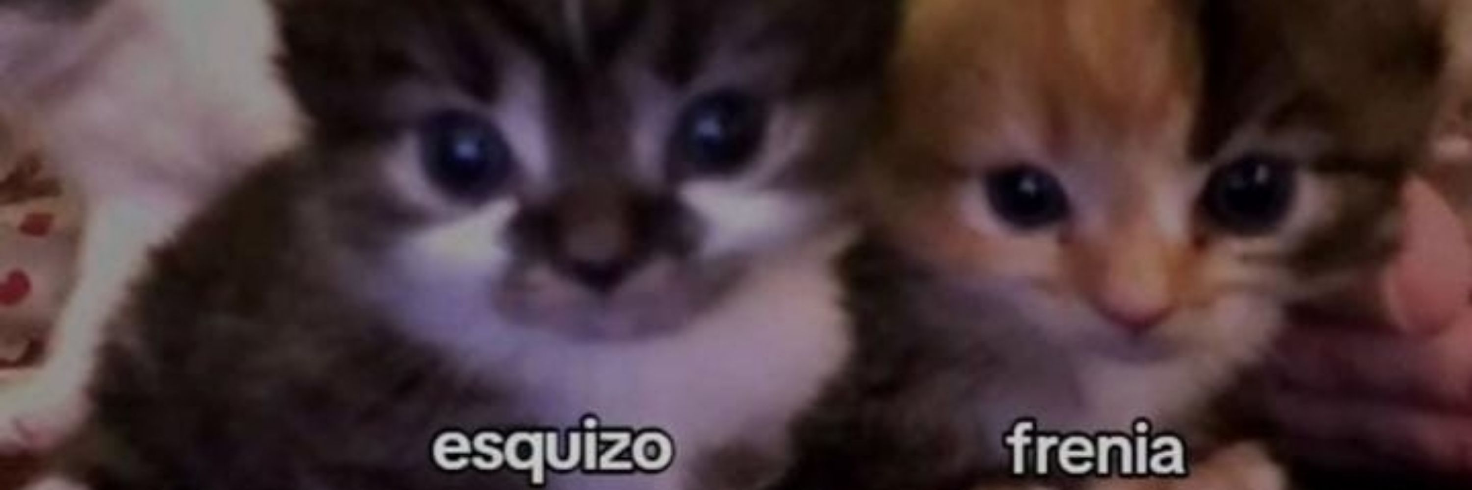 Esquizo 
