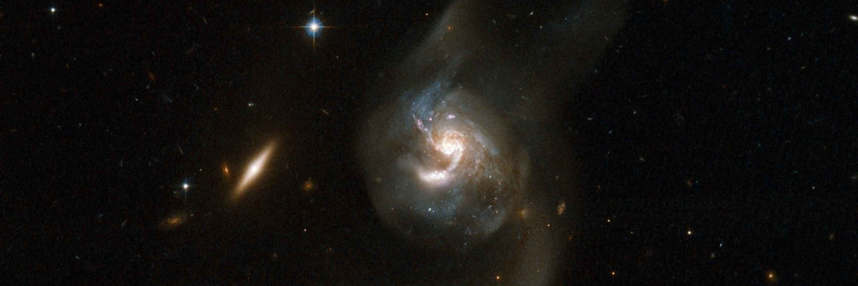 Tian🌌