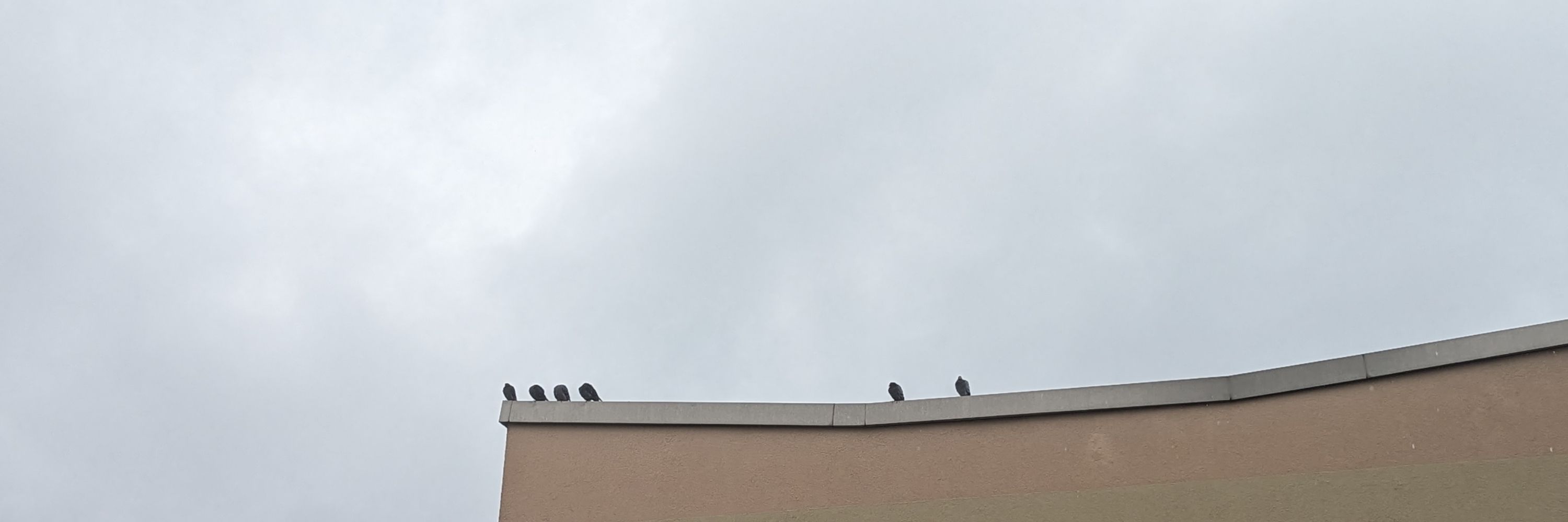 Gewitterfront