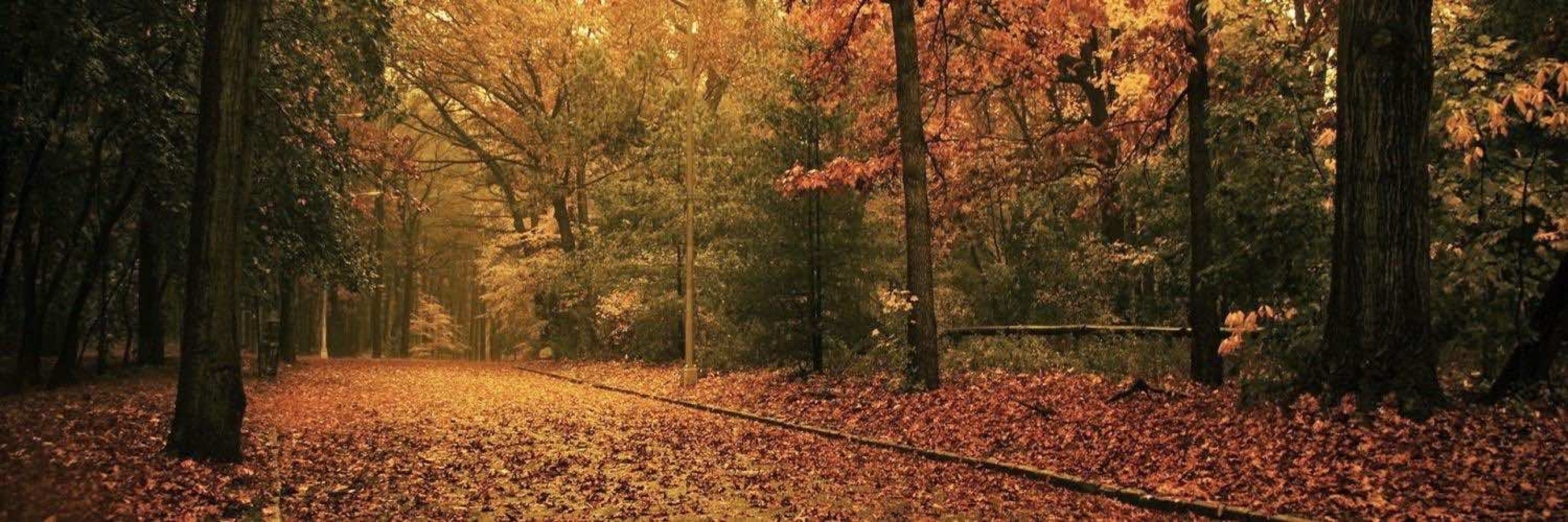 Targs_🍂