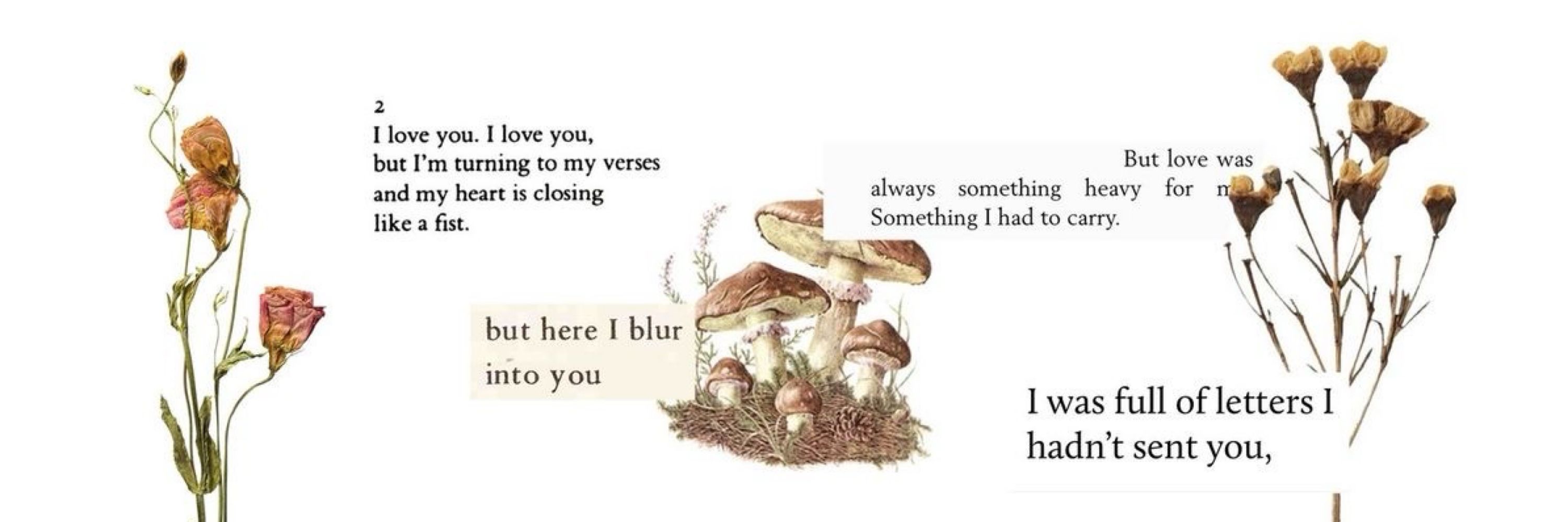 ୨♡୧