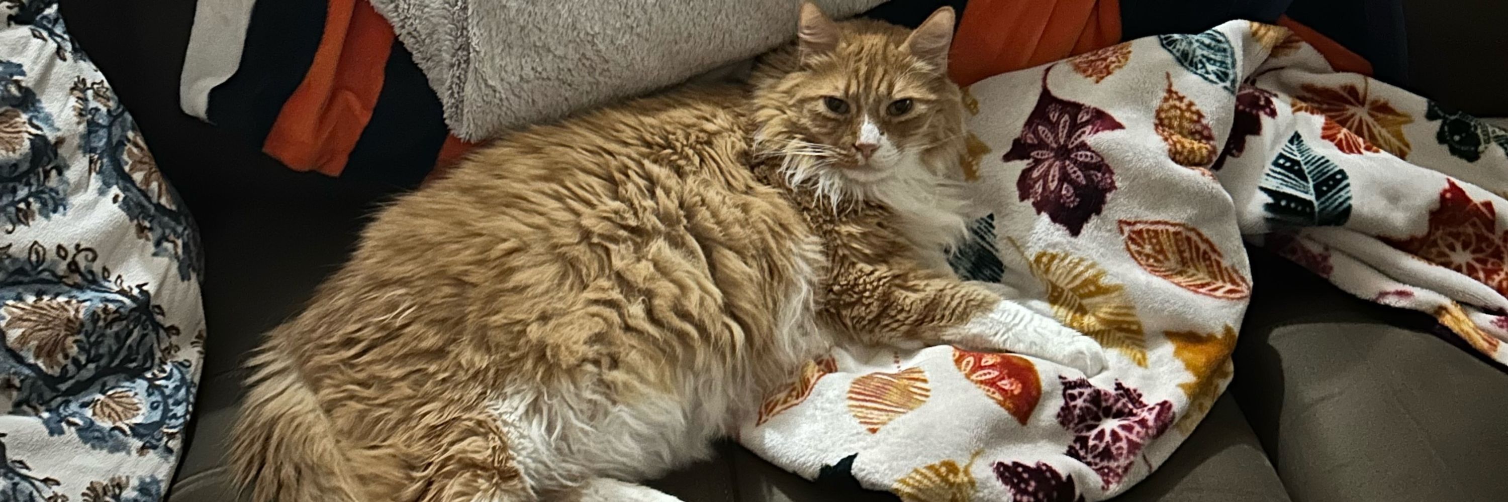 Stuffy
