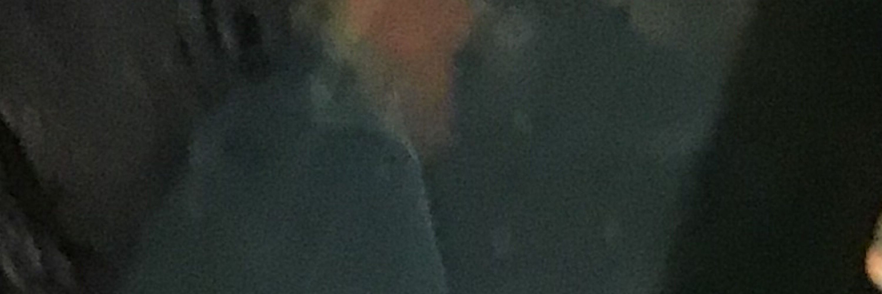 Ashton Charles Ertelt