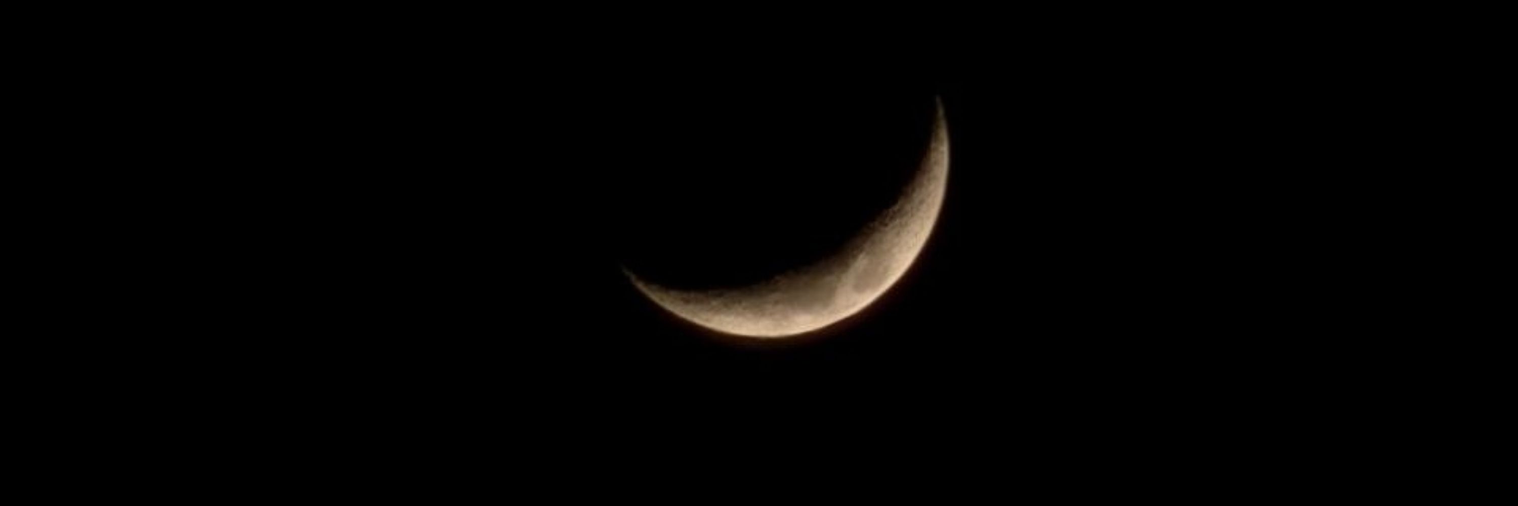 Moon lover