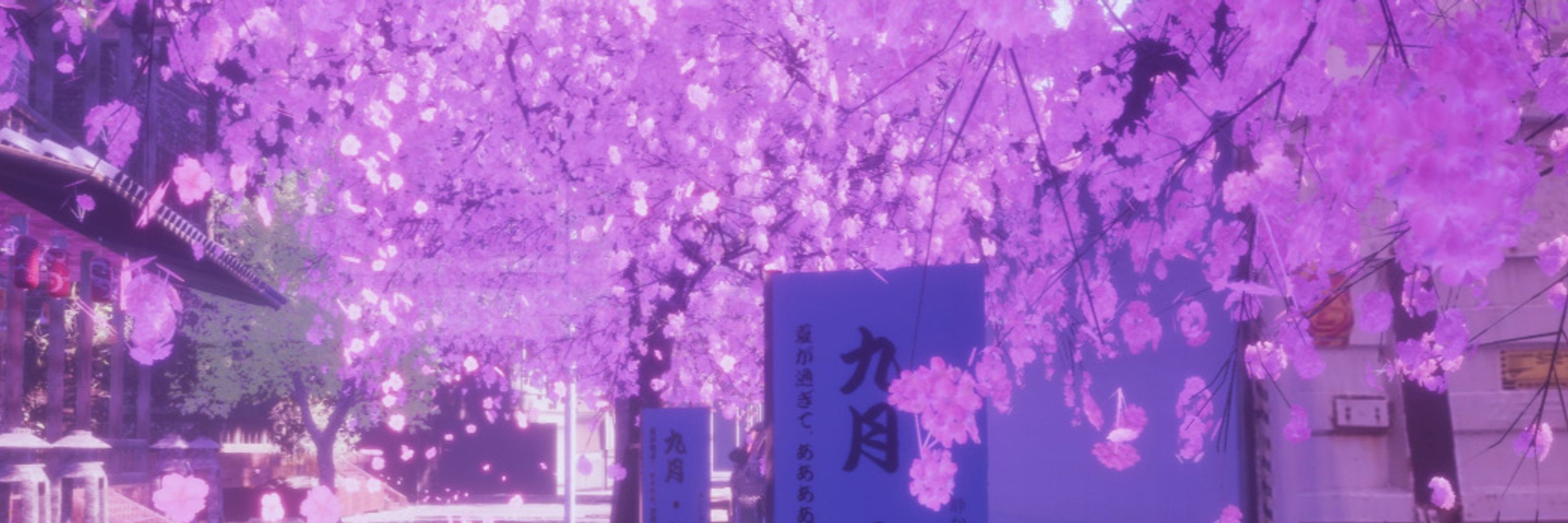 sumisu