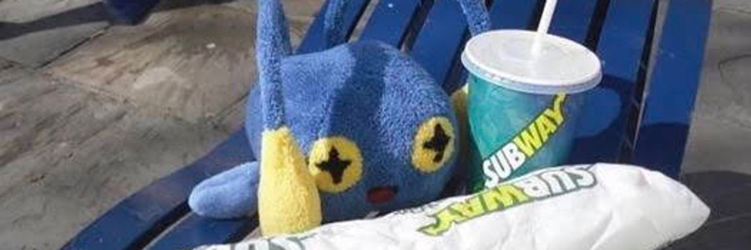 *Pitter is confused!*