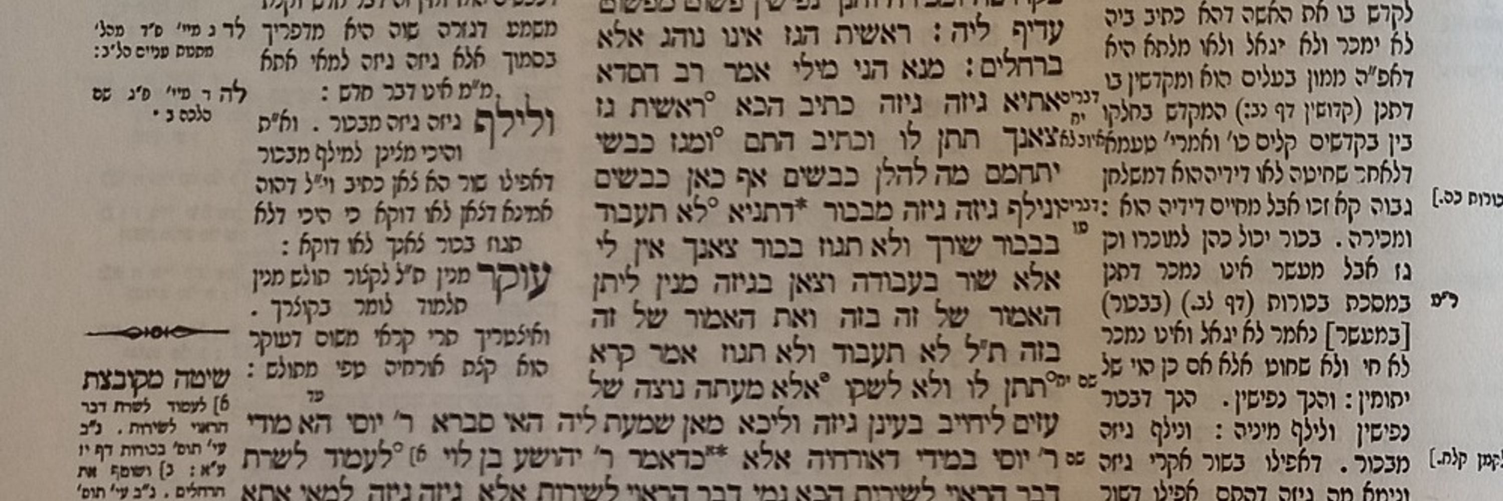 בר מהשטייגען (החילונים עם הגמרא)