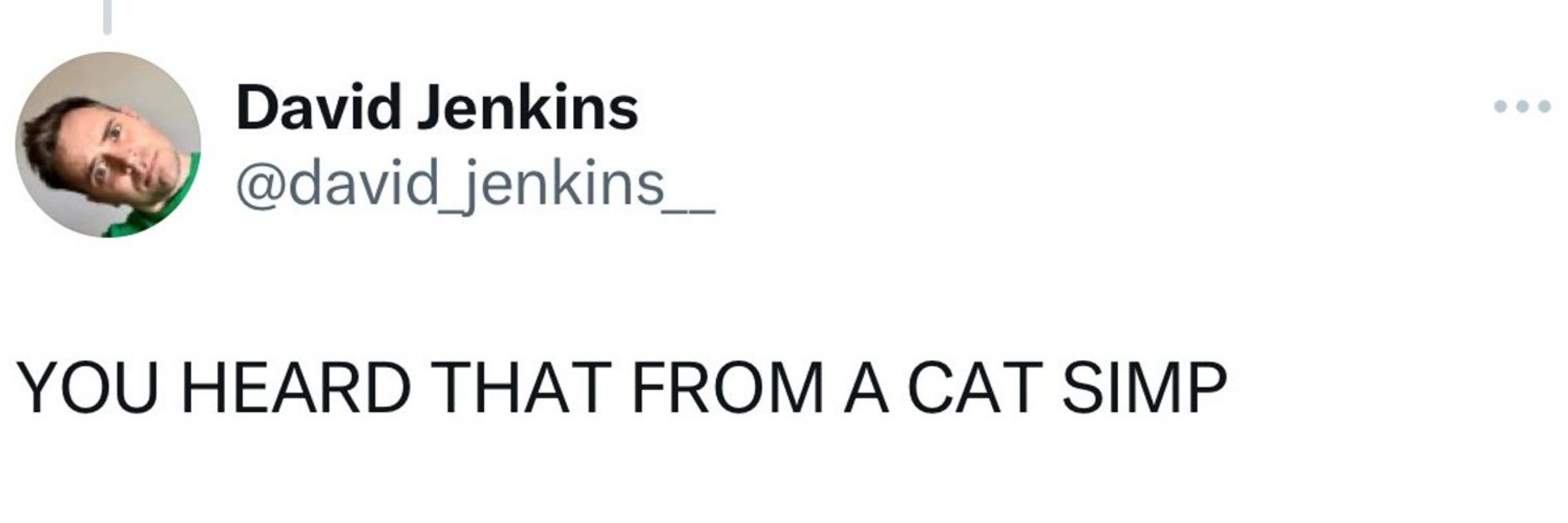 CC the Cat Simp ™️| GalaxyCon Columbus Bound