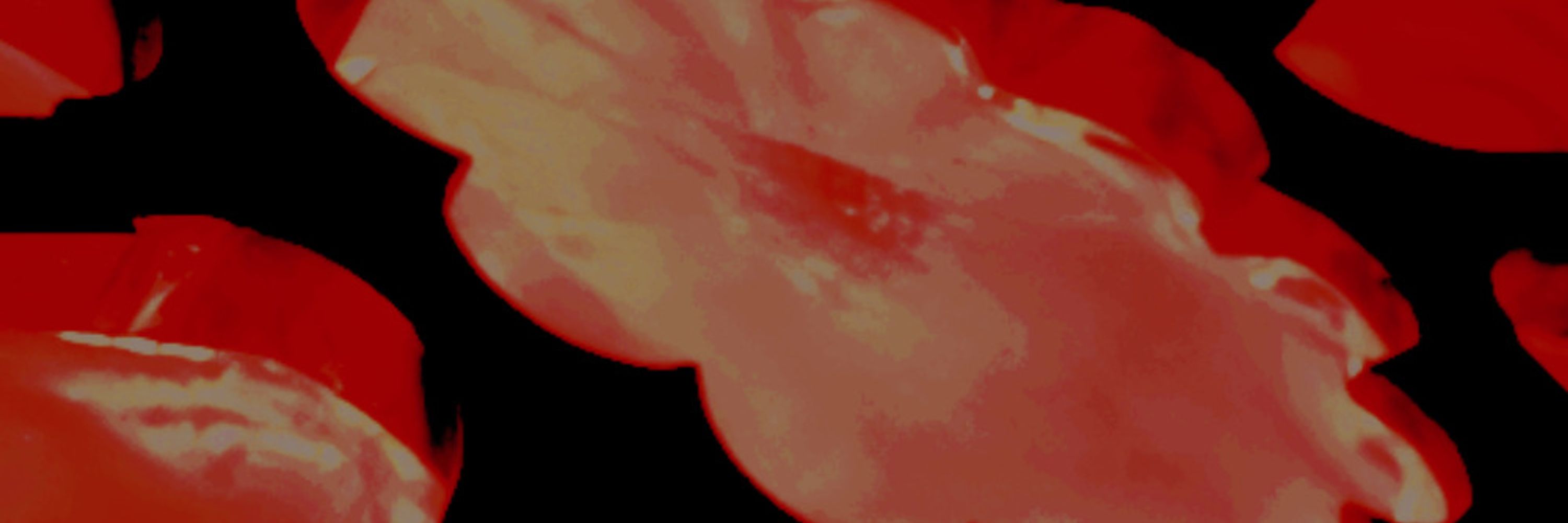 📻 𝙍𝘼𝘿𝙄𝙊'𝙎 𝙉𝙊𝙏 𝘿𝙀𝘼𝘿 🔞 C0MMS OPEN