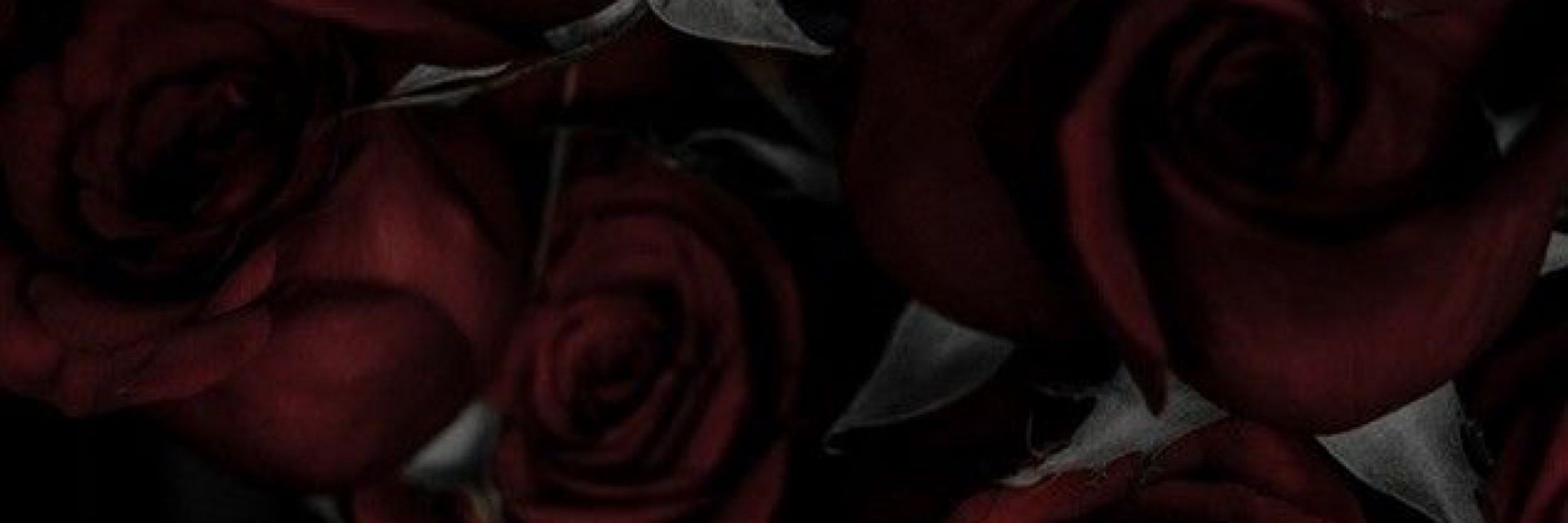 evangeline 🥀