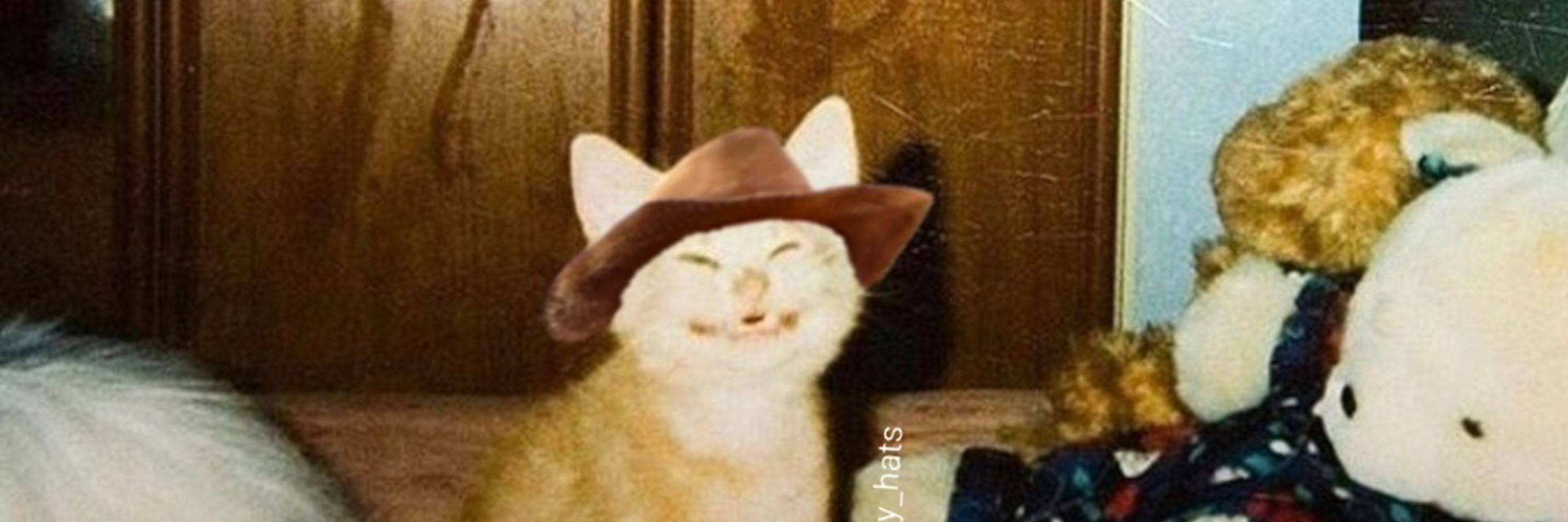 WaffelKat