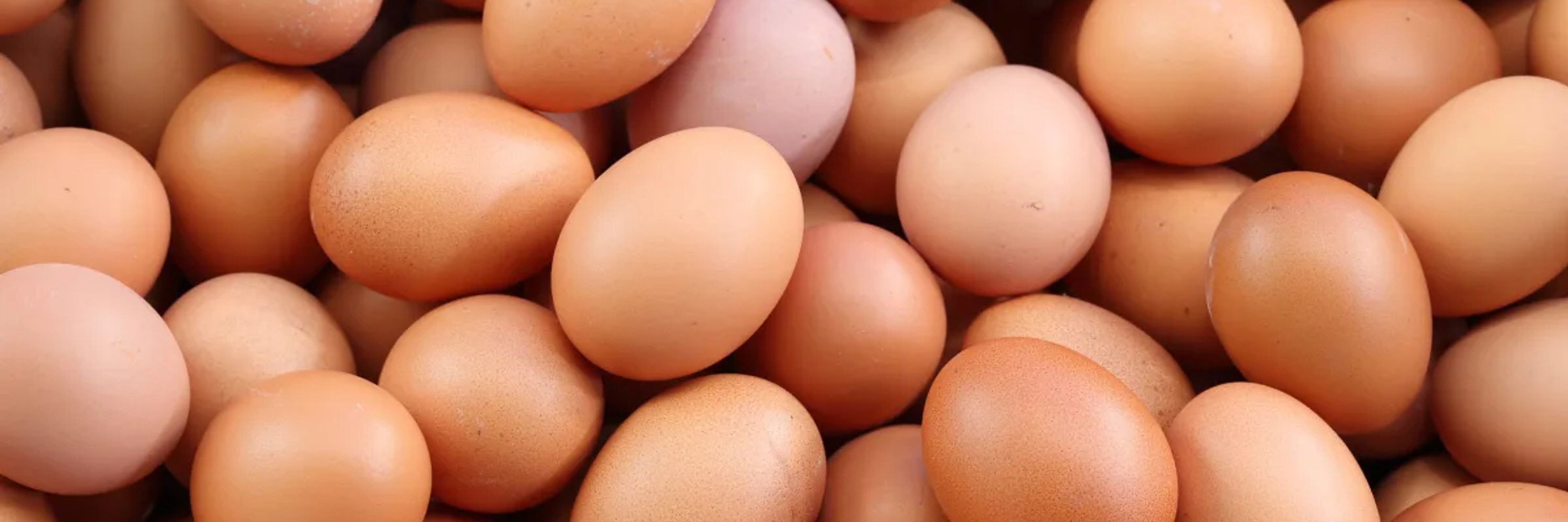 Eggsrock