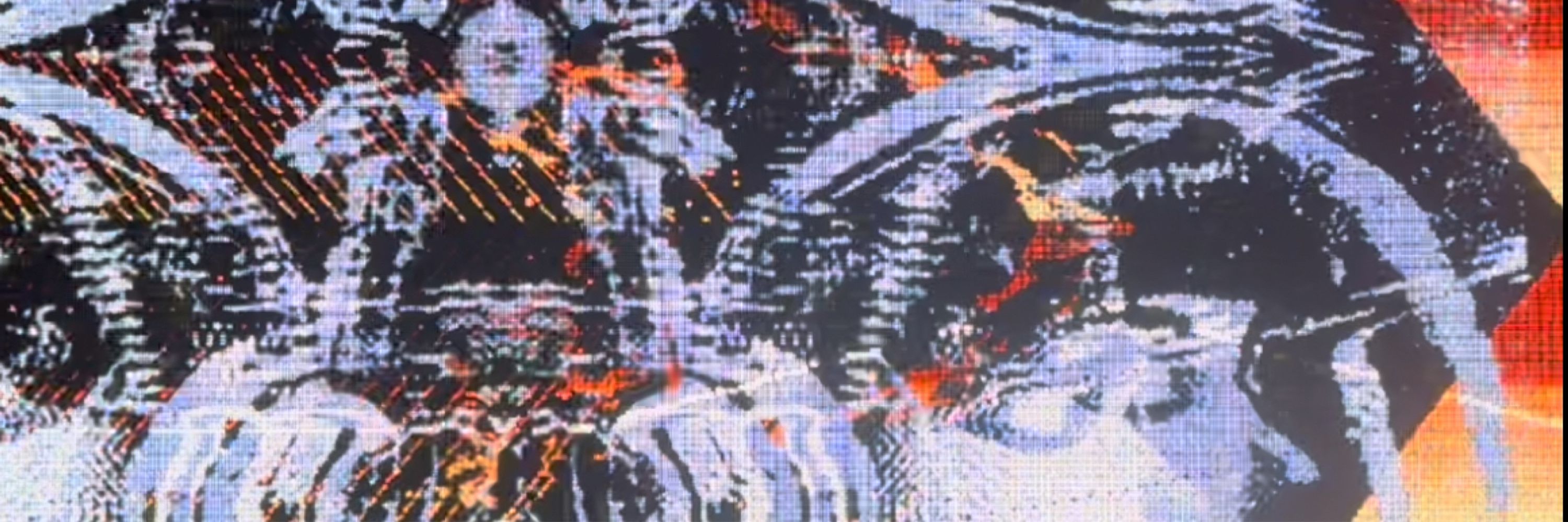 vcr.t