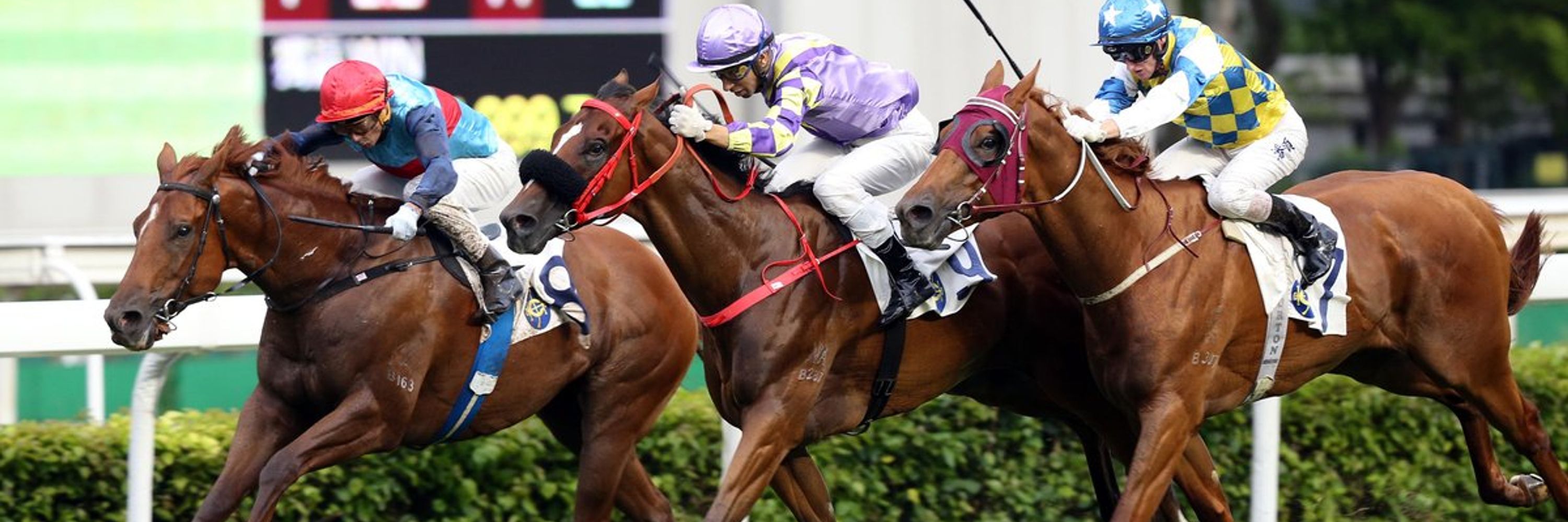 HK Winning Factor