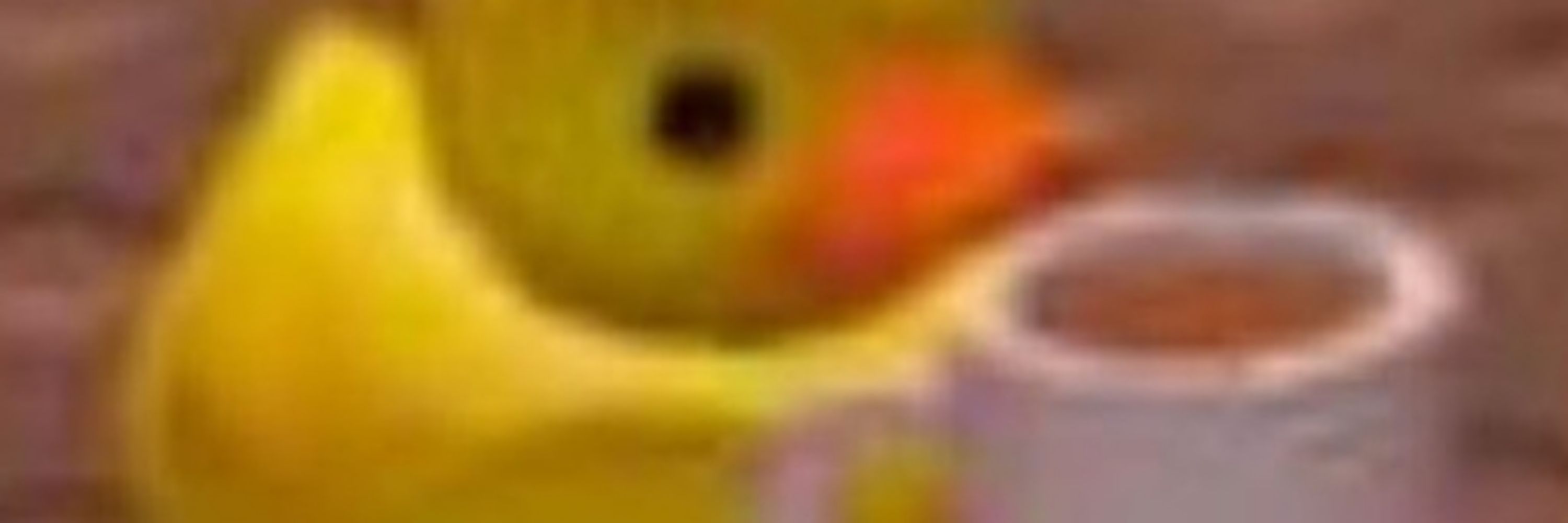 dorito