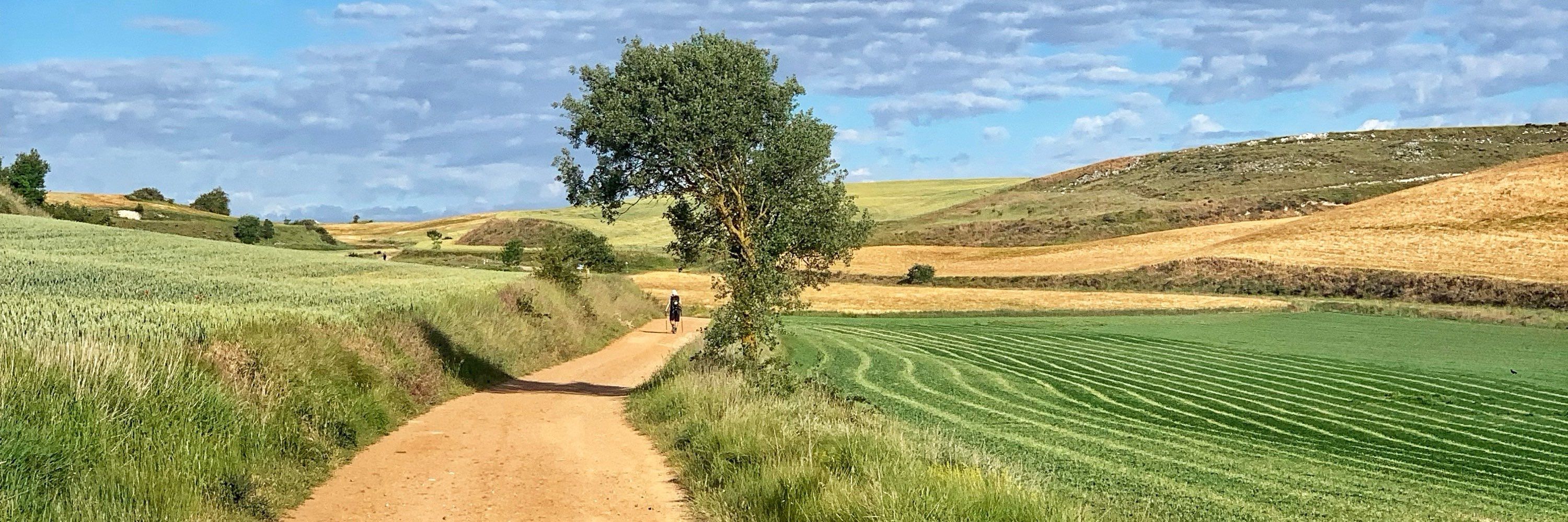 Shared Pilgrimage