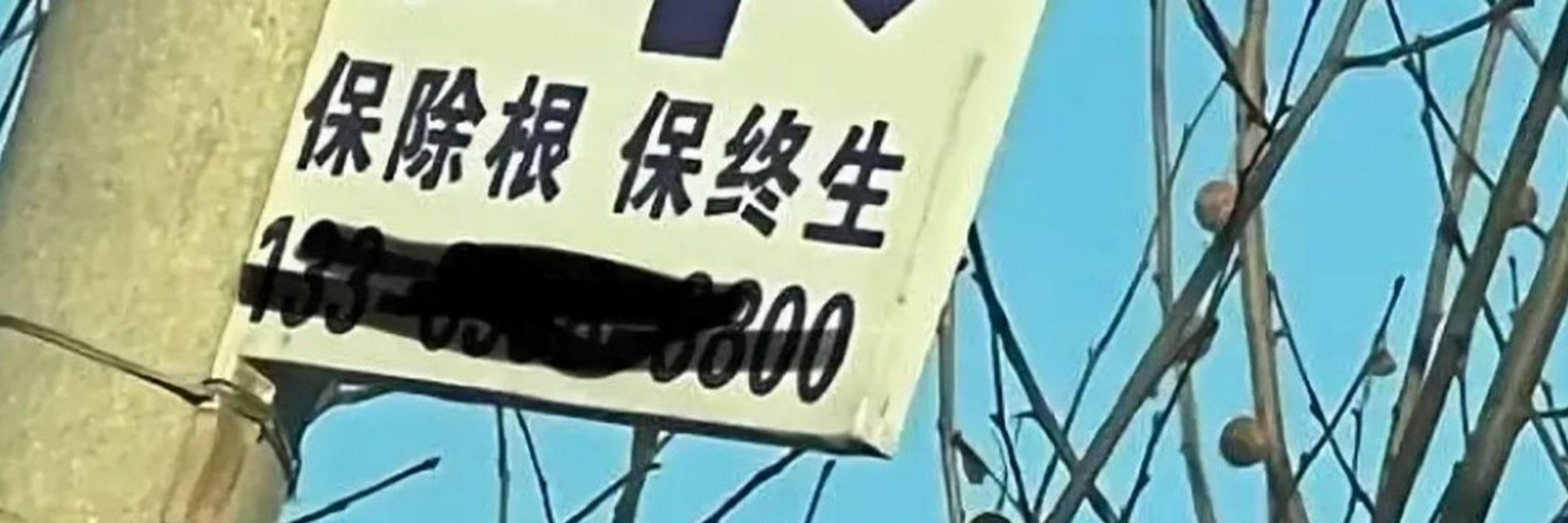响尾