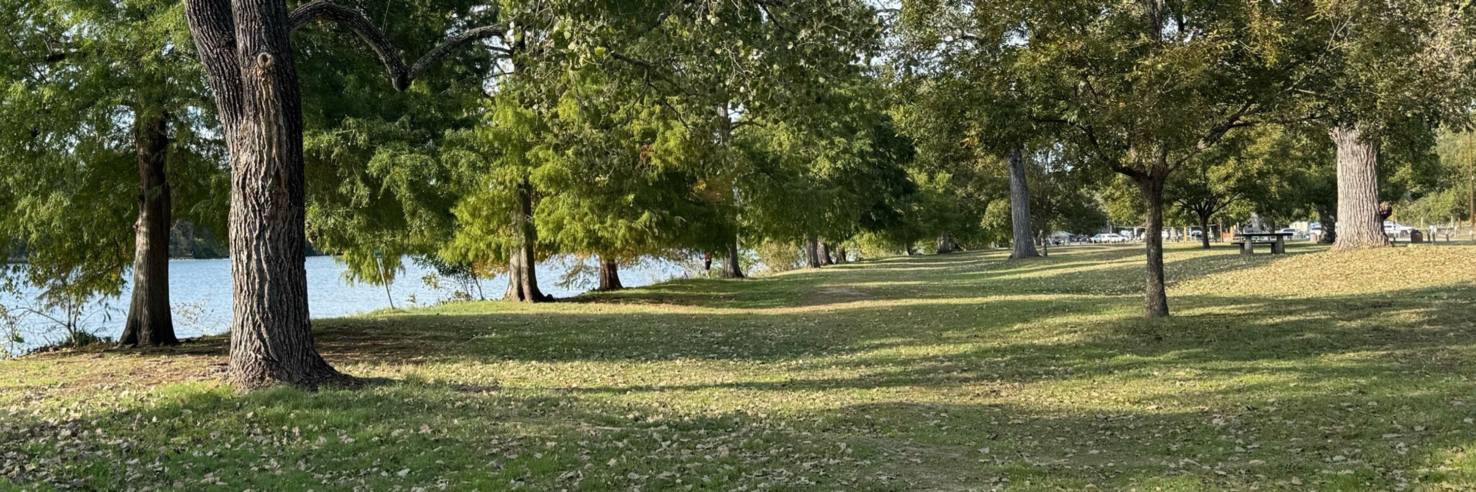 Hongli Zhan