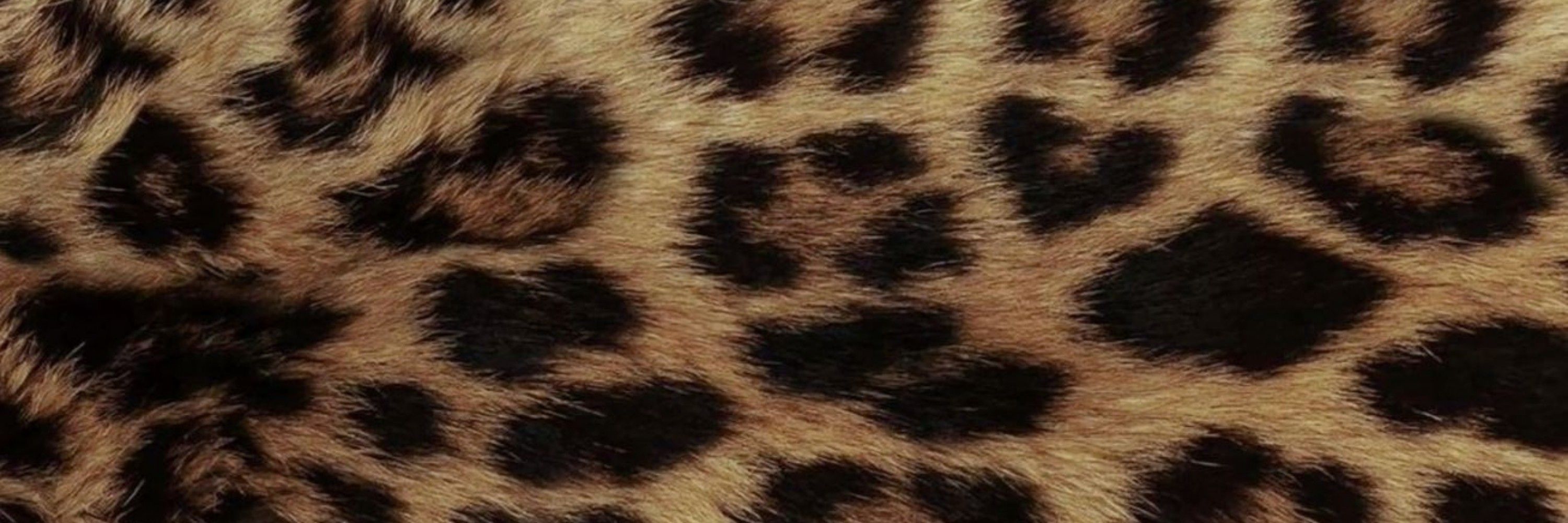 maju